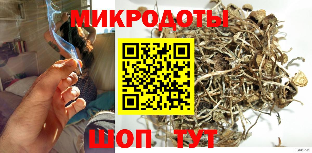 Псилоцибиновые грибы Magic Shrooms Новокубанск