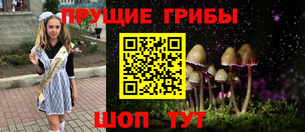 Псилоцибиновые грибы Magic Shrooms  Псилоцибиновые грибы прущие грибы  Вход с VPN  Новокубанск 