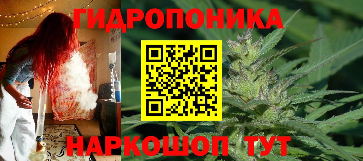 Каннабис VHQ Новокубанск